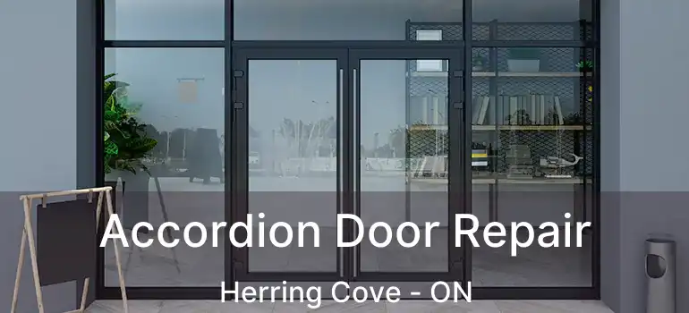  Accordion Door Repair Herring Cove - ON