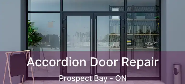  Accordion Door Repair Prospect Bay - ON