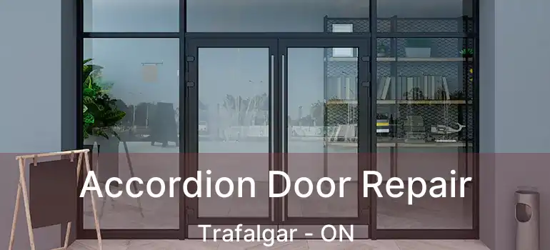  Accordion Door Repair Trafalgar - ON
