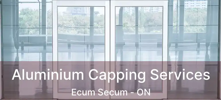  Aluminium Capping Services Ecum Secum - ON