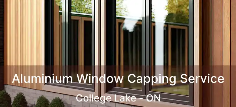  Aluminium Window Capping Service College Lake - ON
