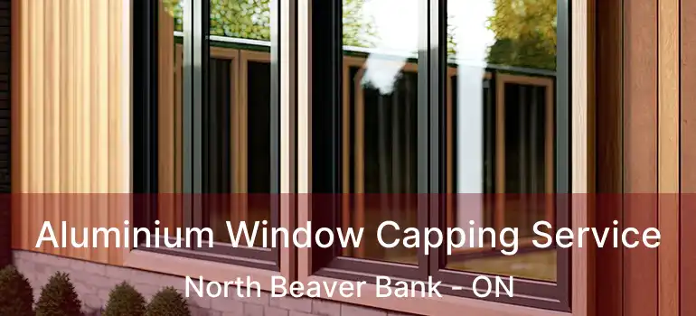  Aluminium Window Capping Service North Beaver Bank - ON
