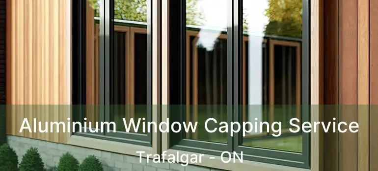 Aluminium Window Capping Service Trafalgar - ON