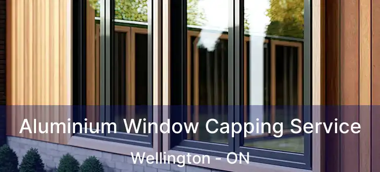  Aluminium Window Capping Service Wellington - ON