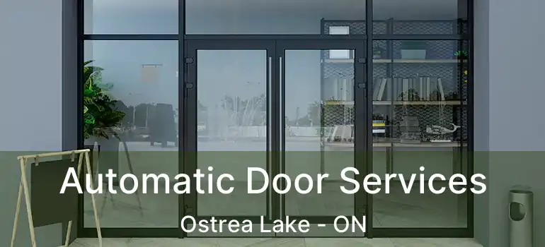  Automatic Door Services Ostrea Lake - ON