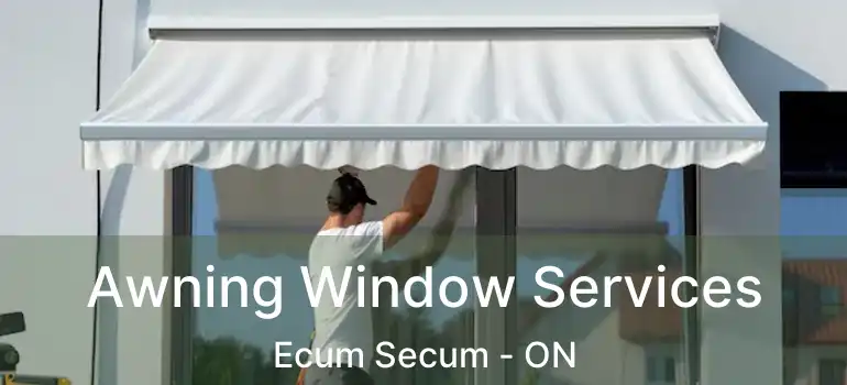  Awning Window Services Ecum Secum - ON