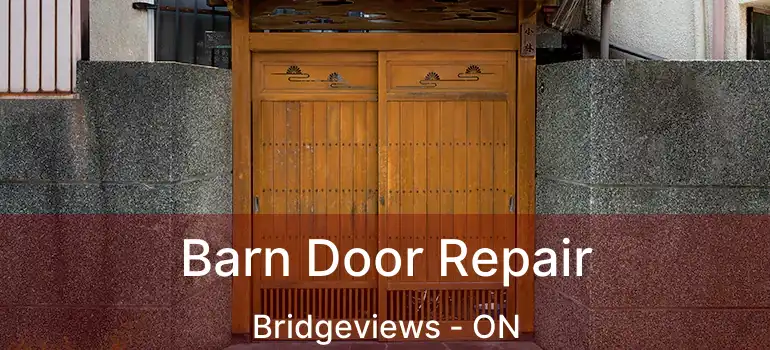  Barn Door Repair Bridgeviews - ON