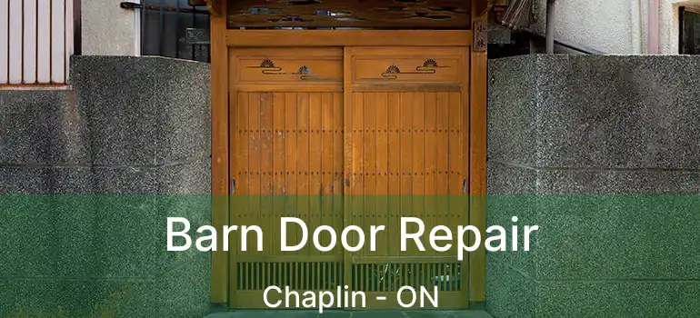  Barn Door Repair Chaplin - ON
