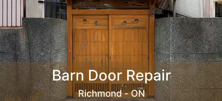  Barn Door Repair Richmond - ON