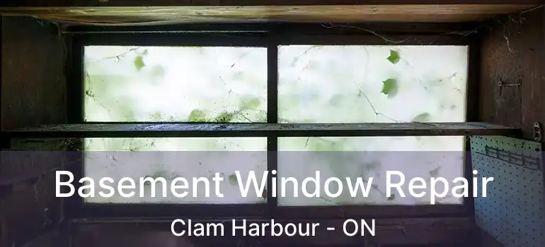  Basement Window Repair Clam Harbour - ON