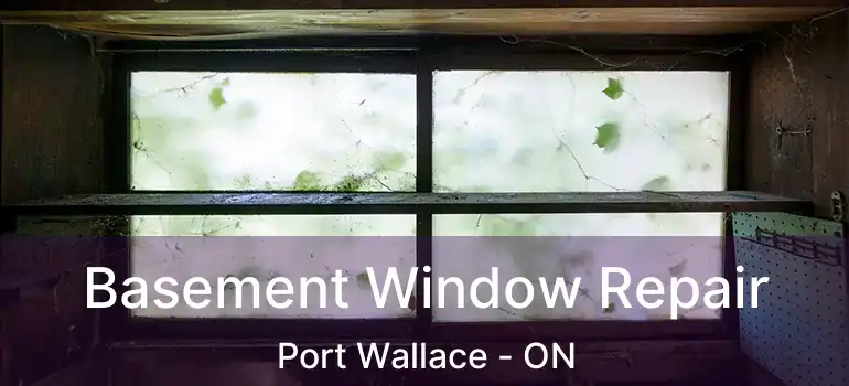  Basement Window Repair Port Wallace - ON