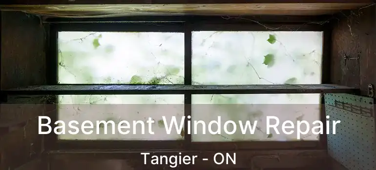  Basement Window Repair Tangier - ON