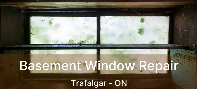  Basement Window Repair Trafalgar - ON