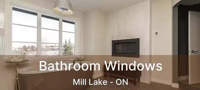  Bathroom Windows Mill Lake - ON
