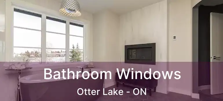  Bathroom Windows Otter Lake - ON