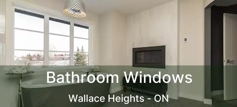  Bathroom Windows Wallace Heights - ON