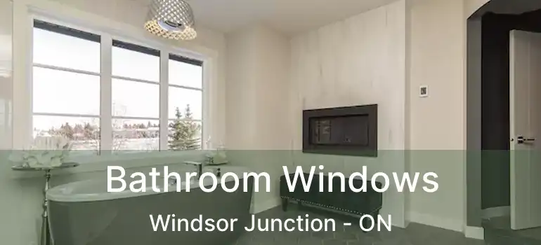  Bathroom Windows Windsor Junction - ON