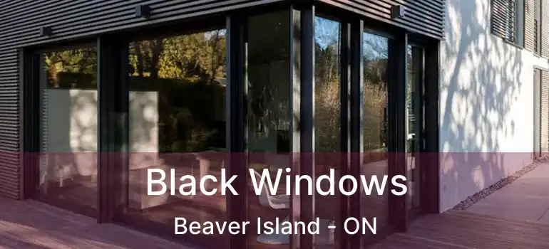  Black Windows Beaver Island - ON