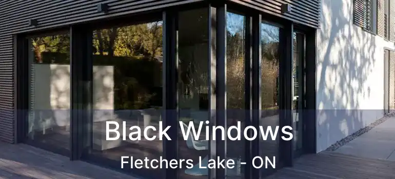  Black Windows Fletchers Lake - ON