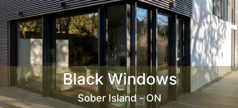  Black Windows Sober Island - ON