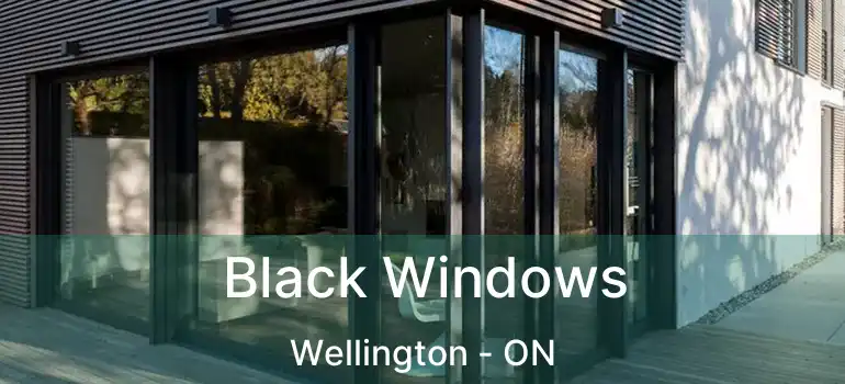  Black Windows Wellington - ON