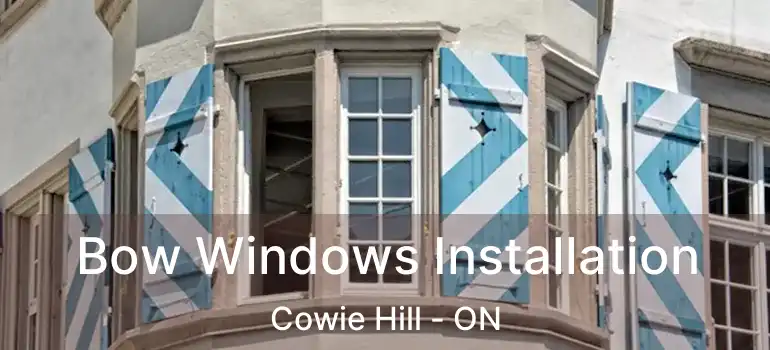  Bow Windows Installation Cowie Hill - ON