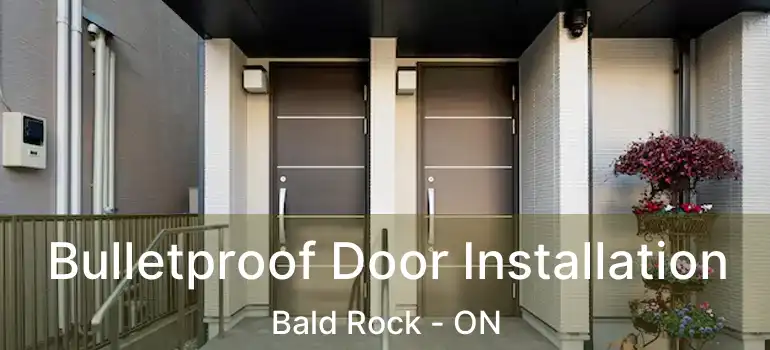  Bulletproof Door Installation Bald Rock - ON