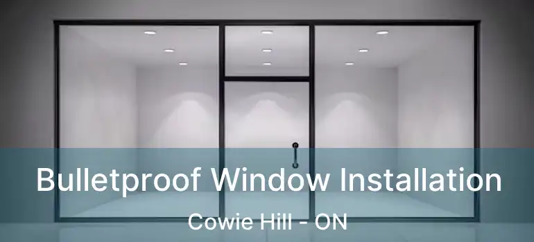  Bulletproof Window Installation Cowie Hill - ON