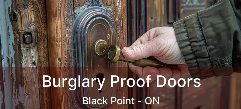  Burglary Proof Doors Black Point - ON