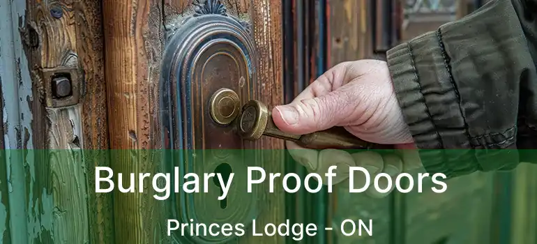  Burglary Proof Doors Princes Lodge - ON