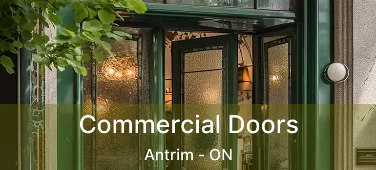  Commercial Doors Antrim - ON