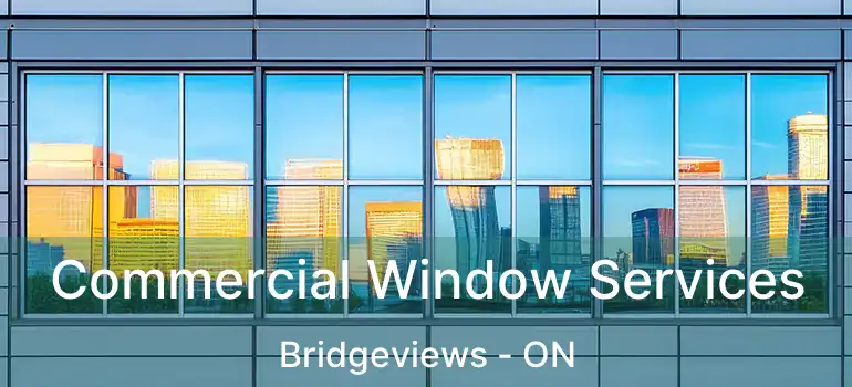  Commercial Window Services Bridgeviews - ON