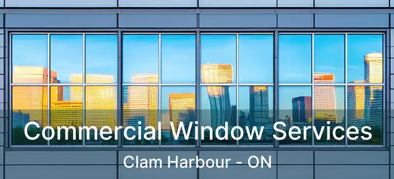  Commercial Window Services Clam Harbour - ON