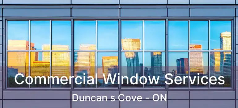 Commercial Window Services Duncan s Cove - ON