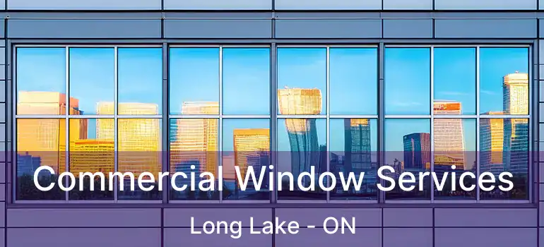  Commercial Window Services Long Lake - ON