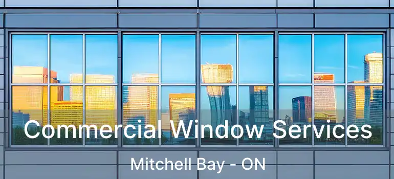  Commercial Window Services Mitchell Bay - ON