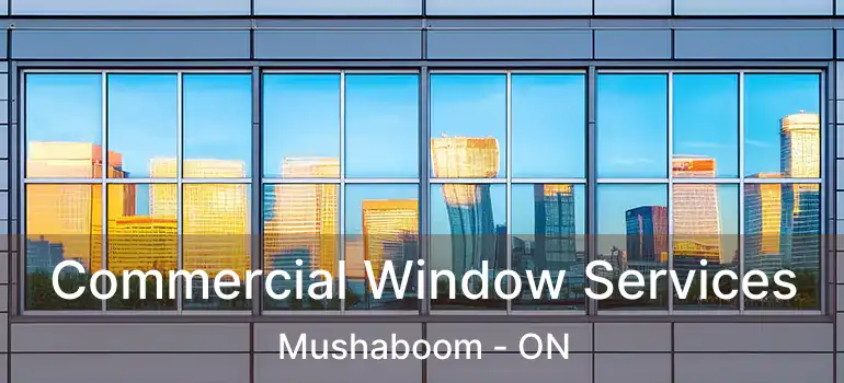  Commercial Window Services Mushaboom - ON