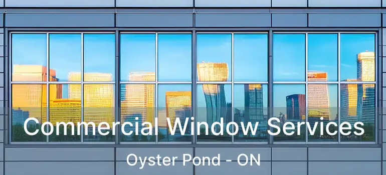  Commercial Window Services Oyster Pond - ON