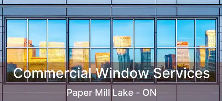  Commercial Window Services Paper Mill Lake - ON