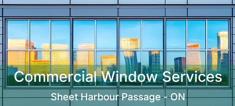  Commercial Window Services Sheet Harbour Passage - ON