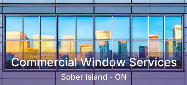  Commercial Window Services Sober Island - ON