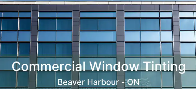  Commercial Window Tinting Beaver Harbour - ON