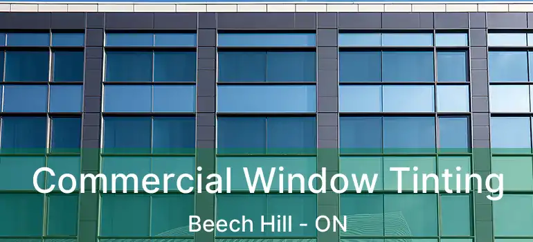  Commercial Window Tinting Beech Hill - ON