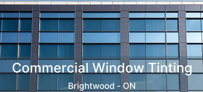  Commercial Window Tinting Brightwood - ON