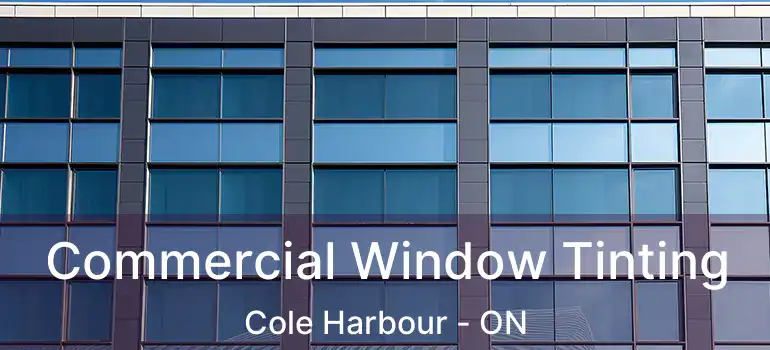  Commercial Window Tinting Cole Harbour - ON