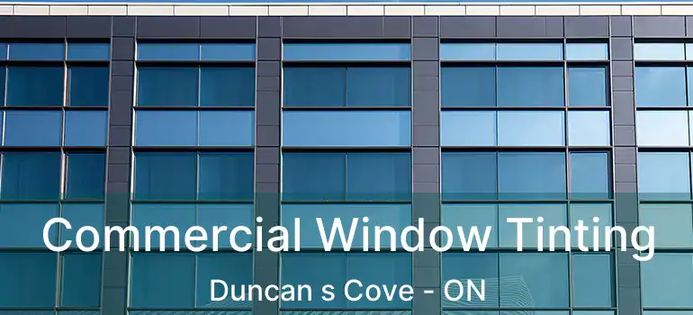  Commercial Window Tinting Duncan s Cove - ON