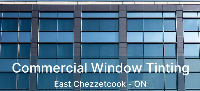  Commercial Window Tinting East Chezzetcook - ON