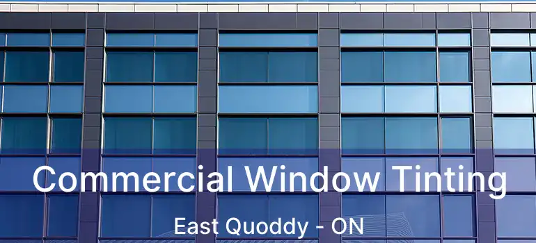  Commercial Window Tinting East Quoddy - ON
