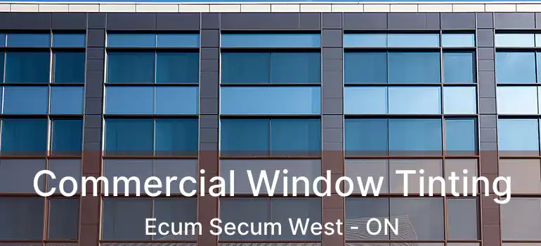  Commercial Window Tinting Ecum Secum West - ON