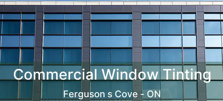  Commercial Window Tinting Ferguson s Cove - ON